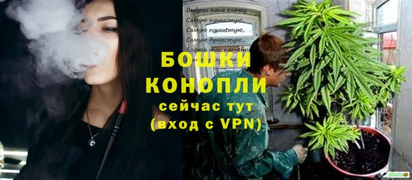 spice Новосибирск