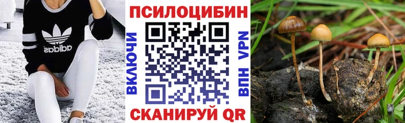 Галлюциногенные грибы Cubensis  сколько стоит  Кирсанов 