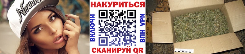 МАРИХУАНА индика  Кирсанов 